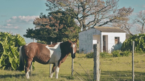 Uruguay